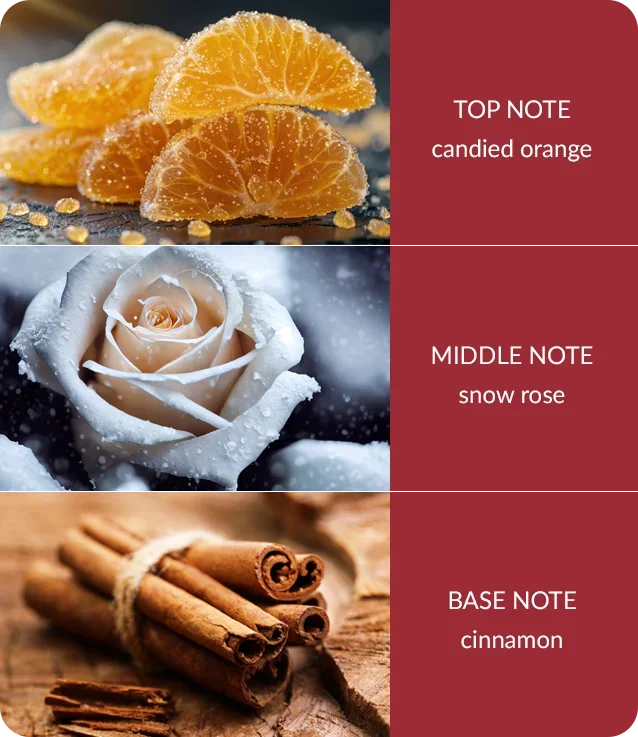 Essential Oil Blend - Christmas Comfort