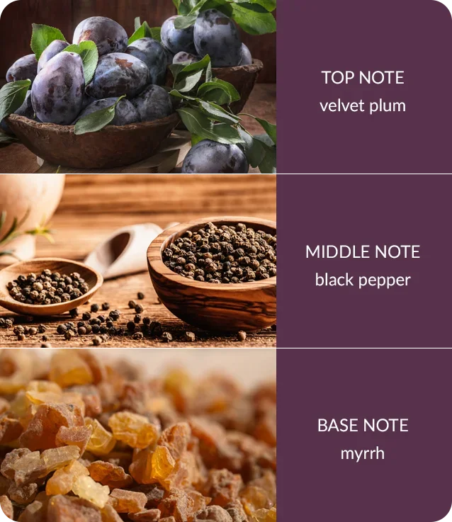 Fragrance Diffuser - Winter Velvet
