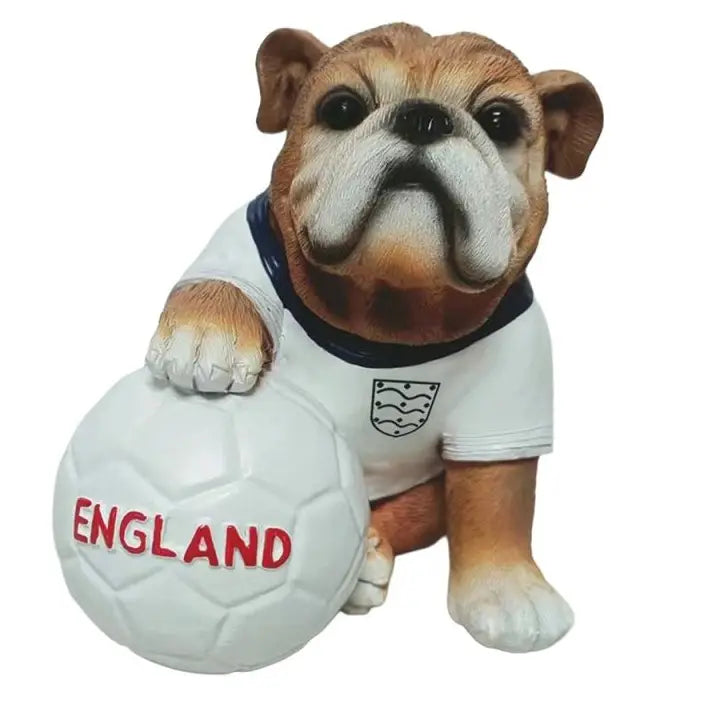 Bulldog With Football
