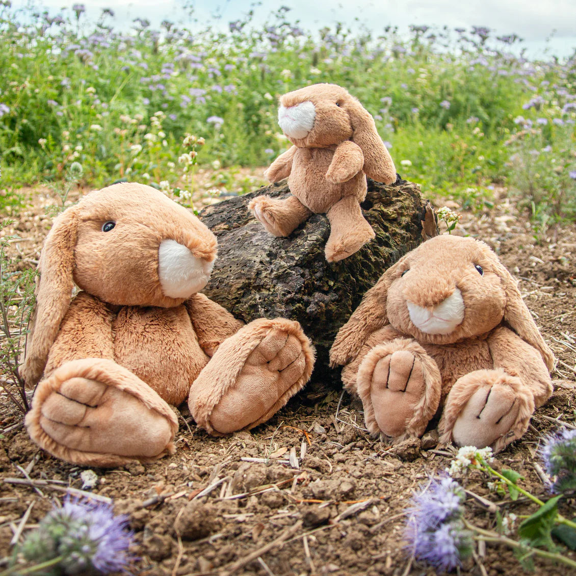 Rosie Rabbit
