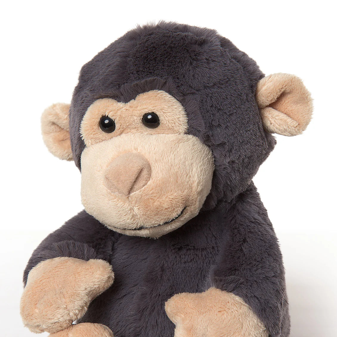 Kokomo Chimpanzee