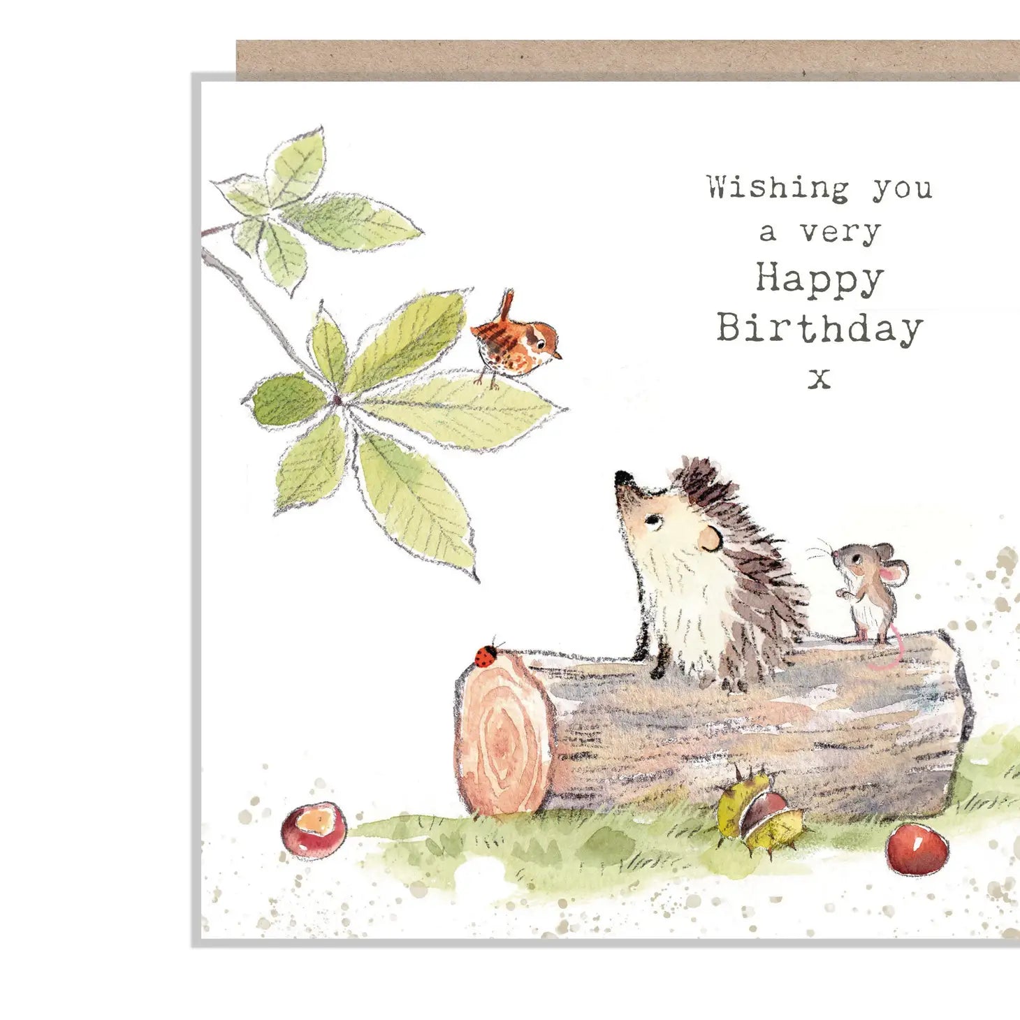 Cute Hedgehog Card - Wishing You A Very Happy Birthday