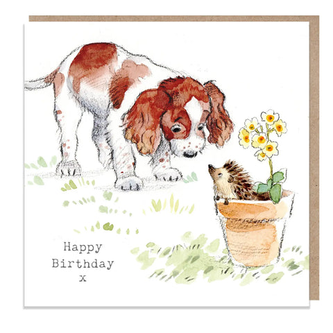 Cute Dog Birthday Card - Springer Spaniel with Hedgehog