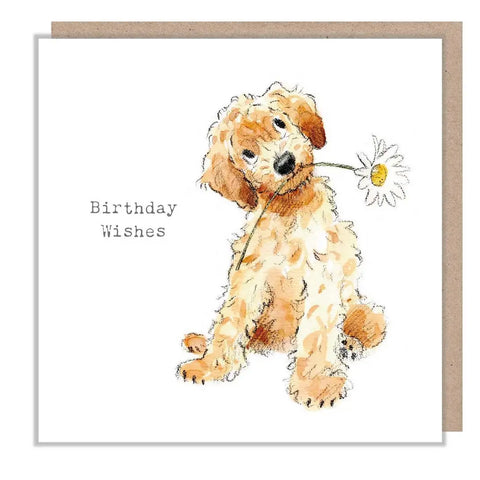Cute Dog Birthday Card - Cockapoo with Daisy