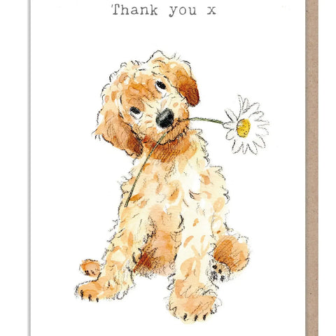Cute Dog Card - Thank You - Cockapoo with Daisy