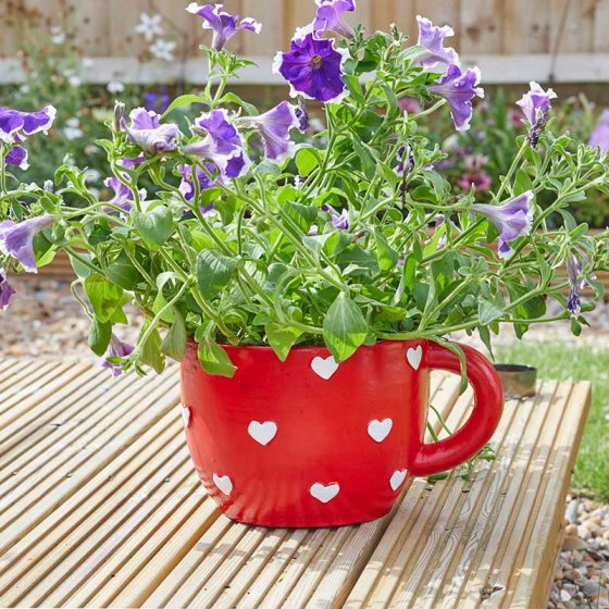 Teacup Planter