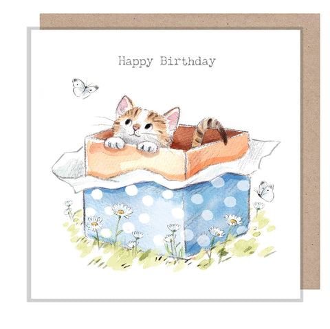 Birthday Card - Cat in Box