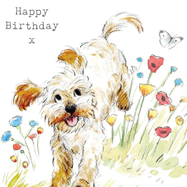 Cute Dog Birthday Card - Jumping Cockapoo
