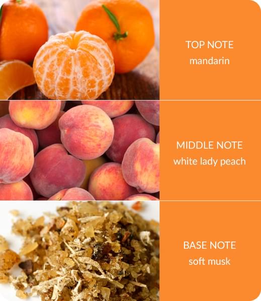 Heart & Home - Wax Melts - Peach Passion