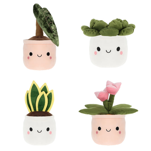 Keel - 12cm Plant Bobballs