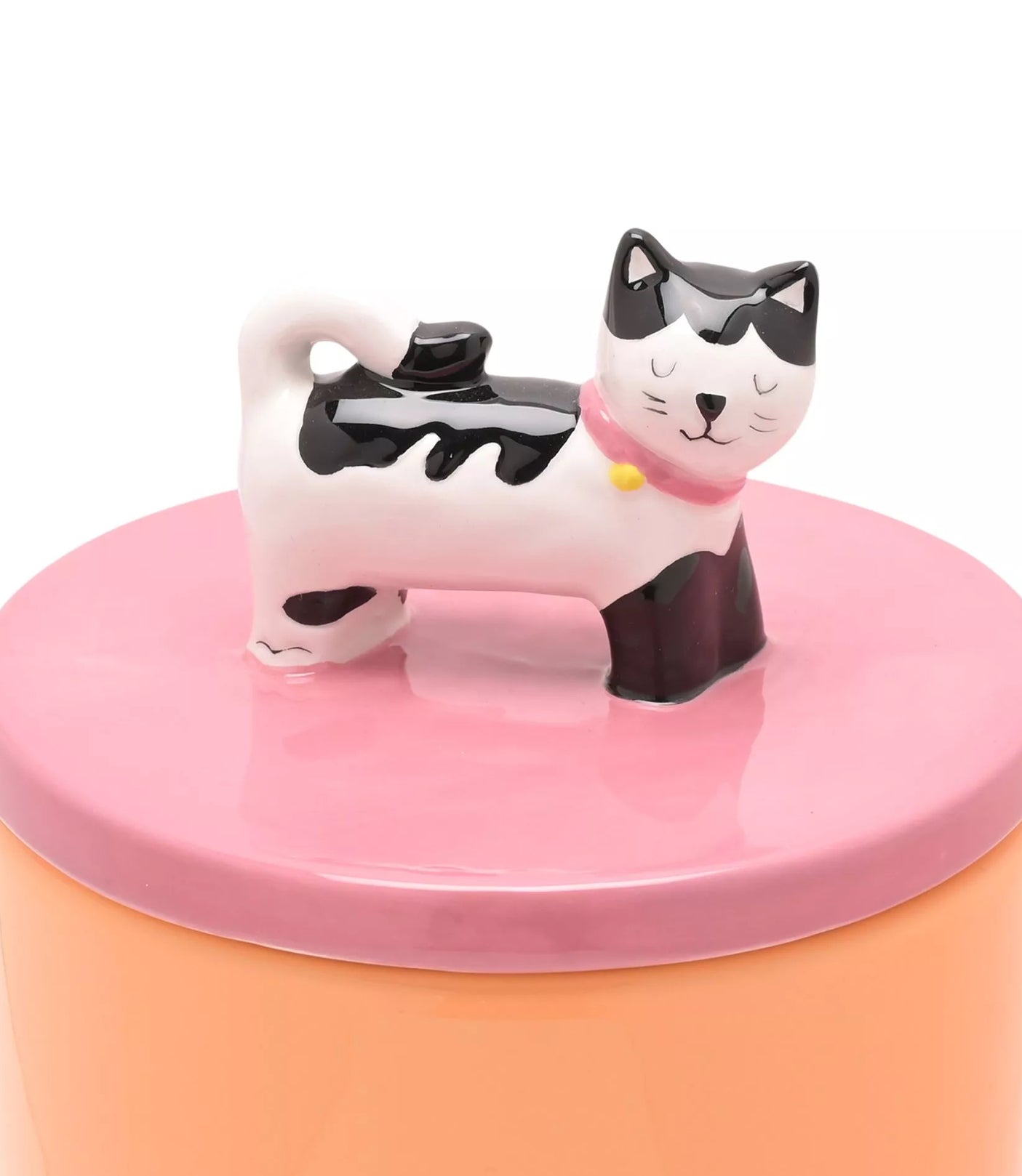 Raspberry Blossom Treat Jar - Cat