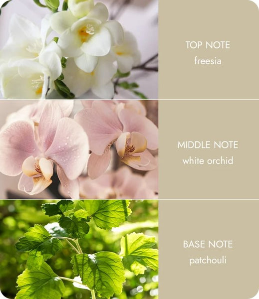 Heart & Home - Love Always - Fragrance Diffuser