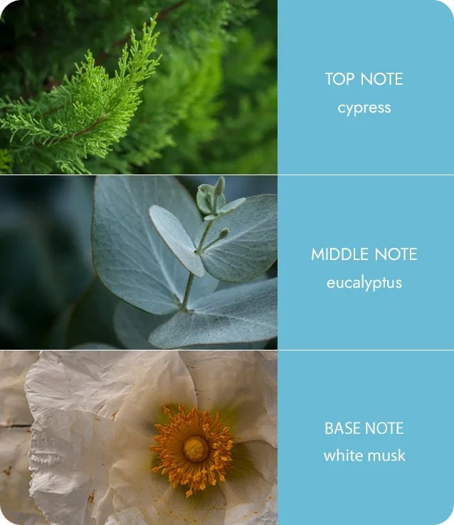 Heart & Home - Tranquility- Room Spray