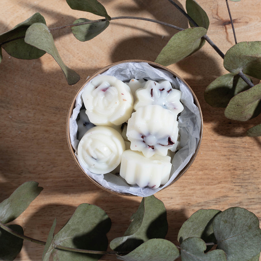 Belly Button Designs Wax Melts - Anemone