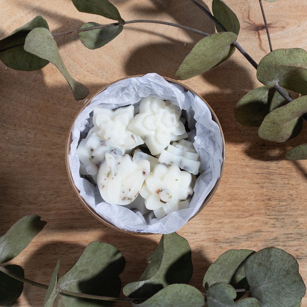 Belly Button Designs Wax Melts - Pink Cosmos