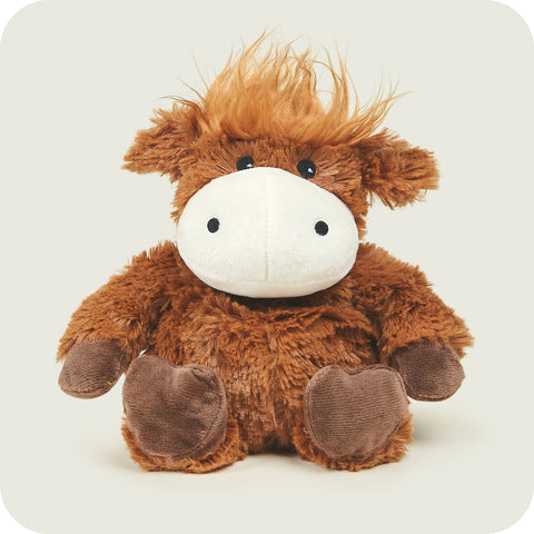 Highland Cow