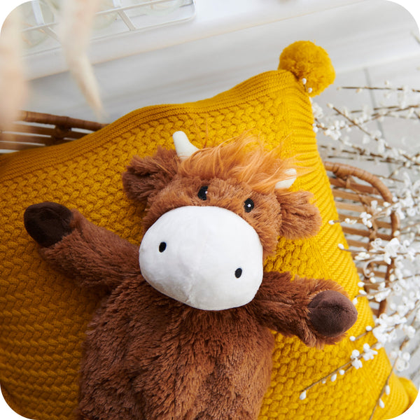 Highland Cow