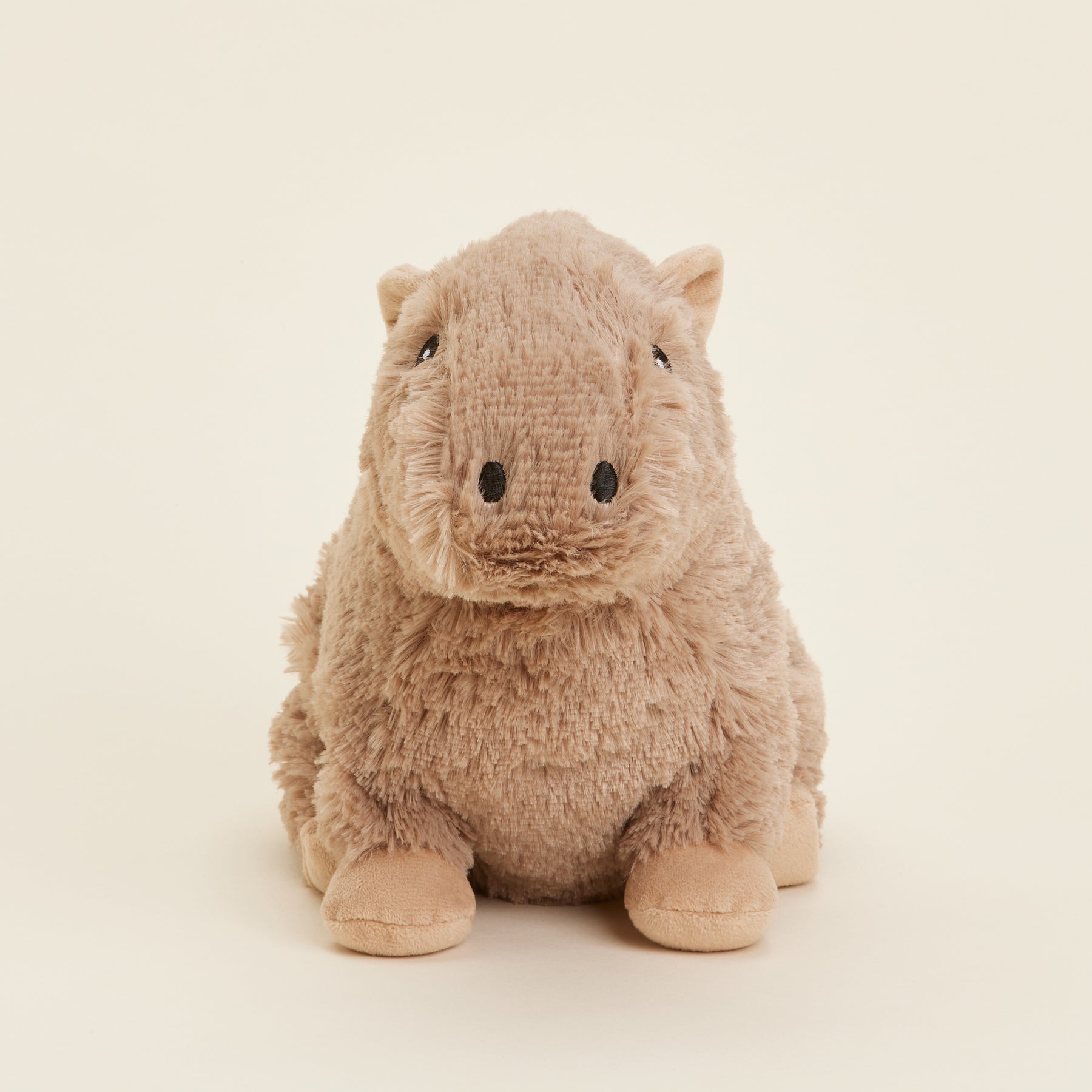 Capybara