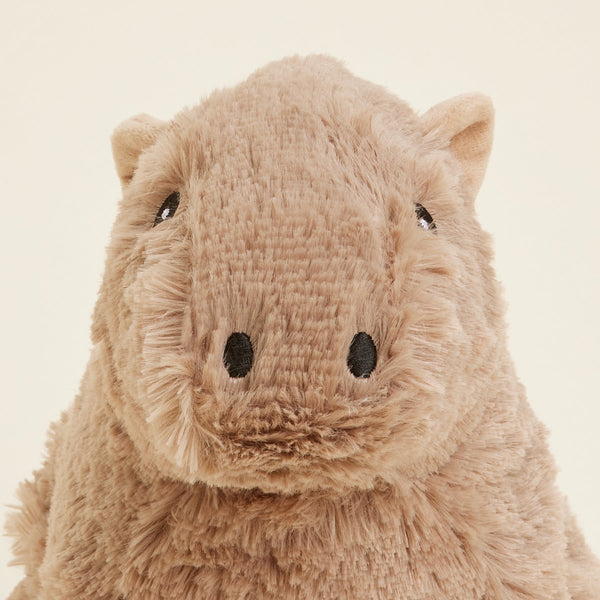 Capybara