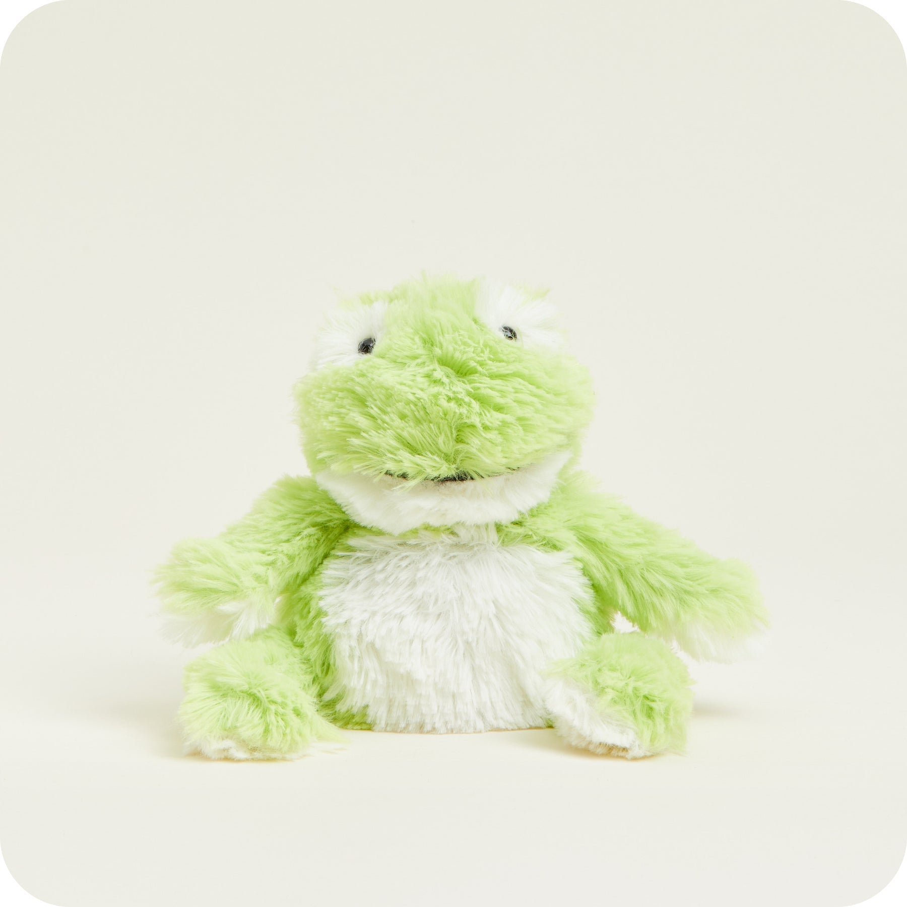 Mini - Frog
