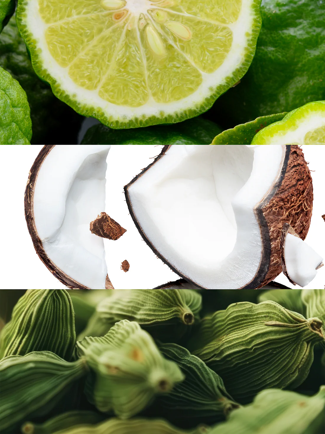 Yodeyma Eau de Parfum 50ml - No 35 Tom Ford Soleil Blanc