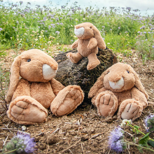 Rosie Rabbit