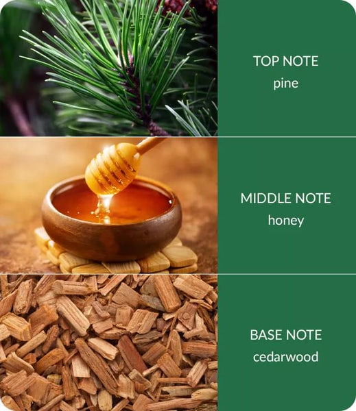 Gift Set - Winter Pine & Cedarwood