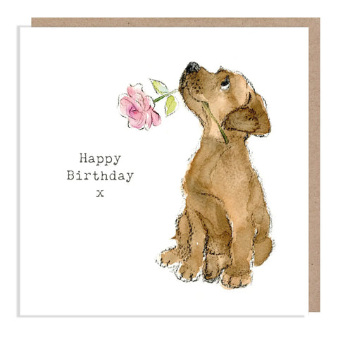 Cute Dog Birthday Card - Chocolate Lab with Pink Rose