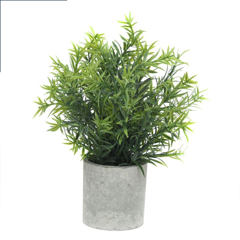 Plant In Stone Effect Pot