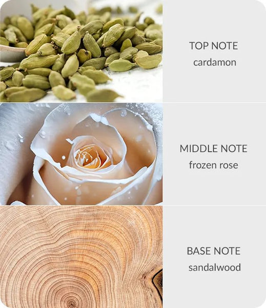 Bamboo - Frozen Woodland Walk - Small Jar Candle