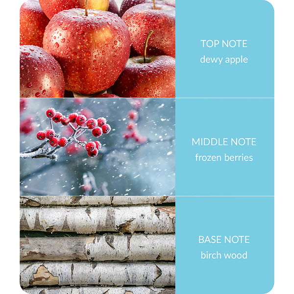 Heart & Home - Winter Berry Frost  - Scene Candle