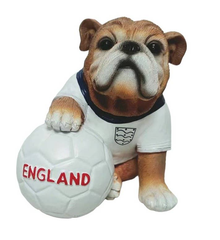 Bulldog With Football