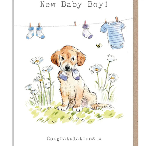 Baby Boy Card - Congratulations - Labrador