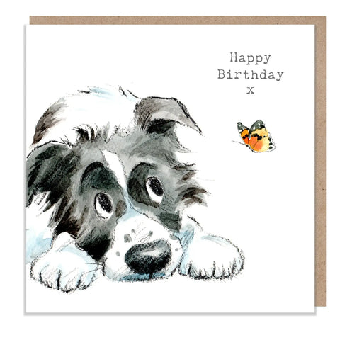 Cute Dog Birthday Card - Black and White Collie