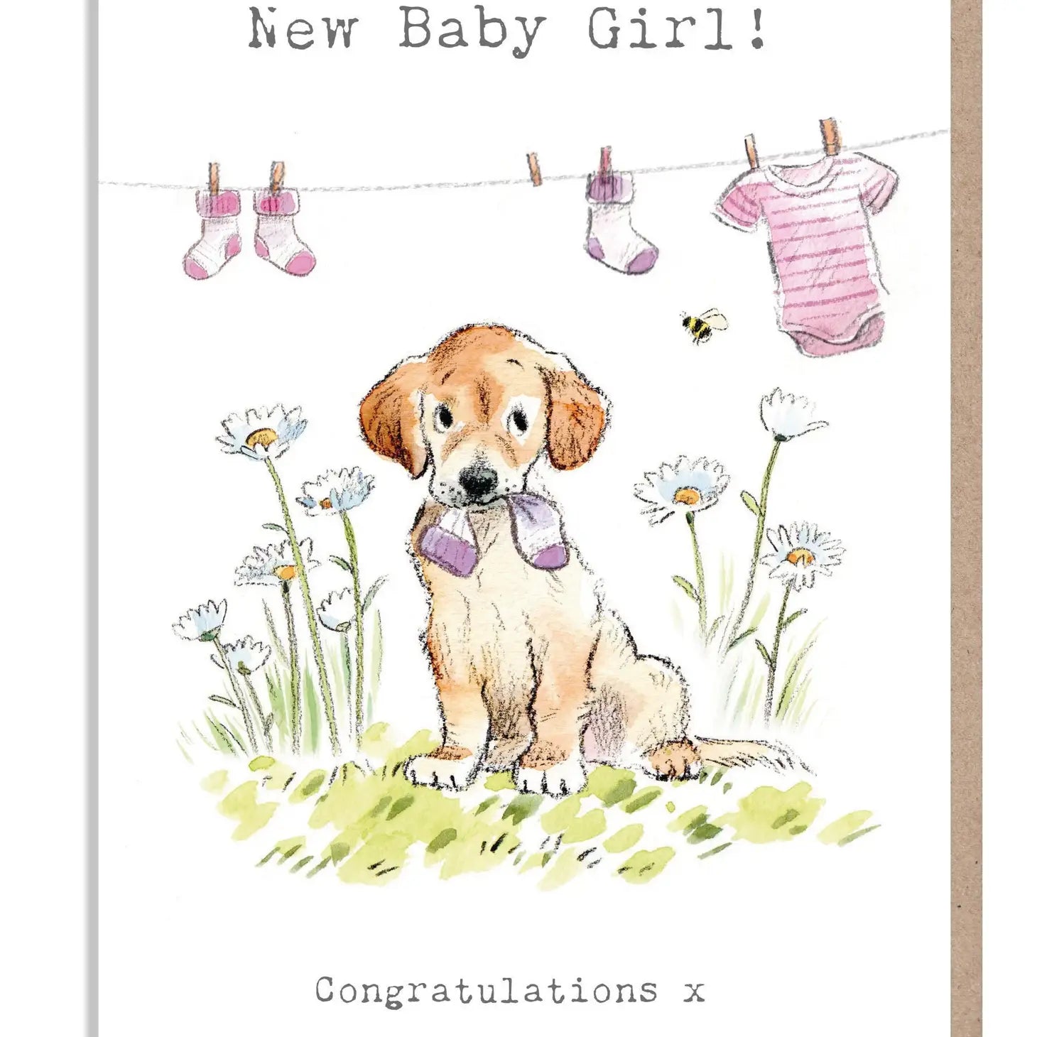 Baby Girl Card - Congratulations - Labrador