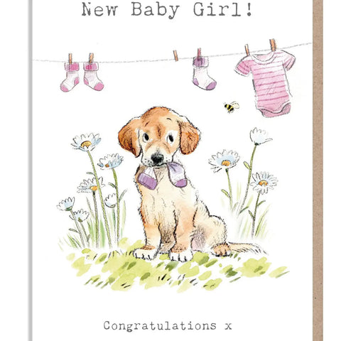 Baby Girl Card - Congratulations - Labrador
