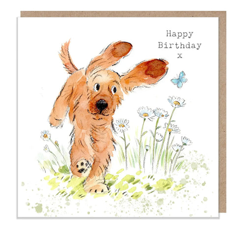Cute Dog Birthday Card - Jumping Cocker Spaniel With Daisies