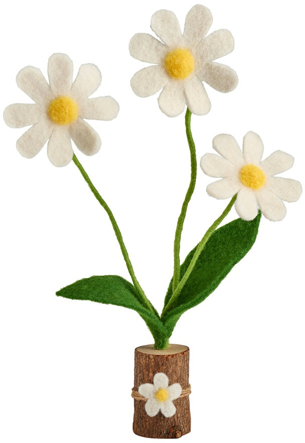 Daisies On A Wooden Base