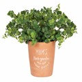 Mums Garden Terracotta Plant Pot